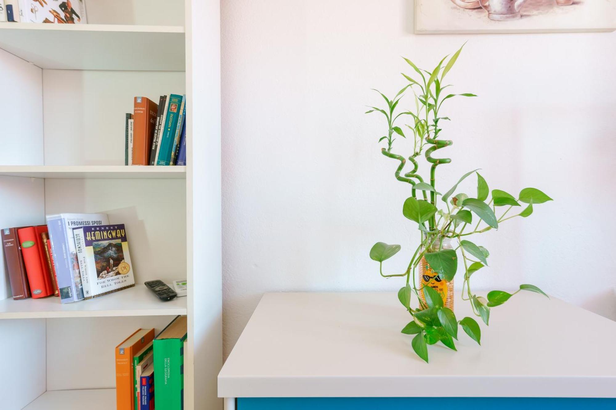 B&B Pothos - Eng Ita - Air Conditioning Wi-Fi Fridge Netflix Local Guide - Aria Condizionata, Frigo, Internet, Guida Locale Cagliari Eksteriør bilde