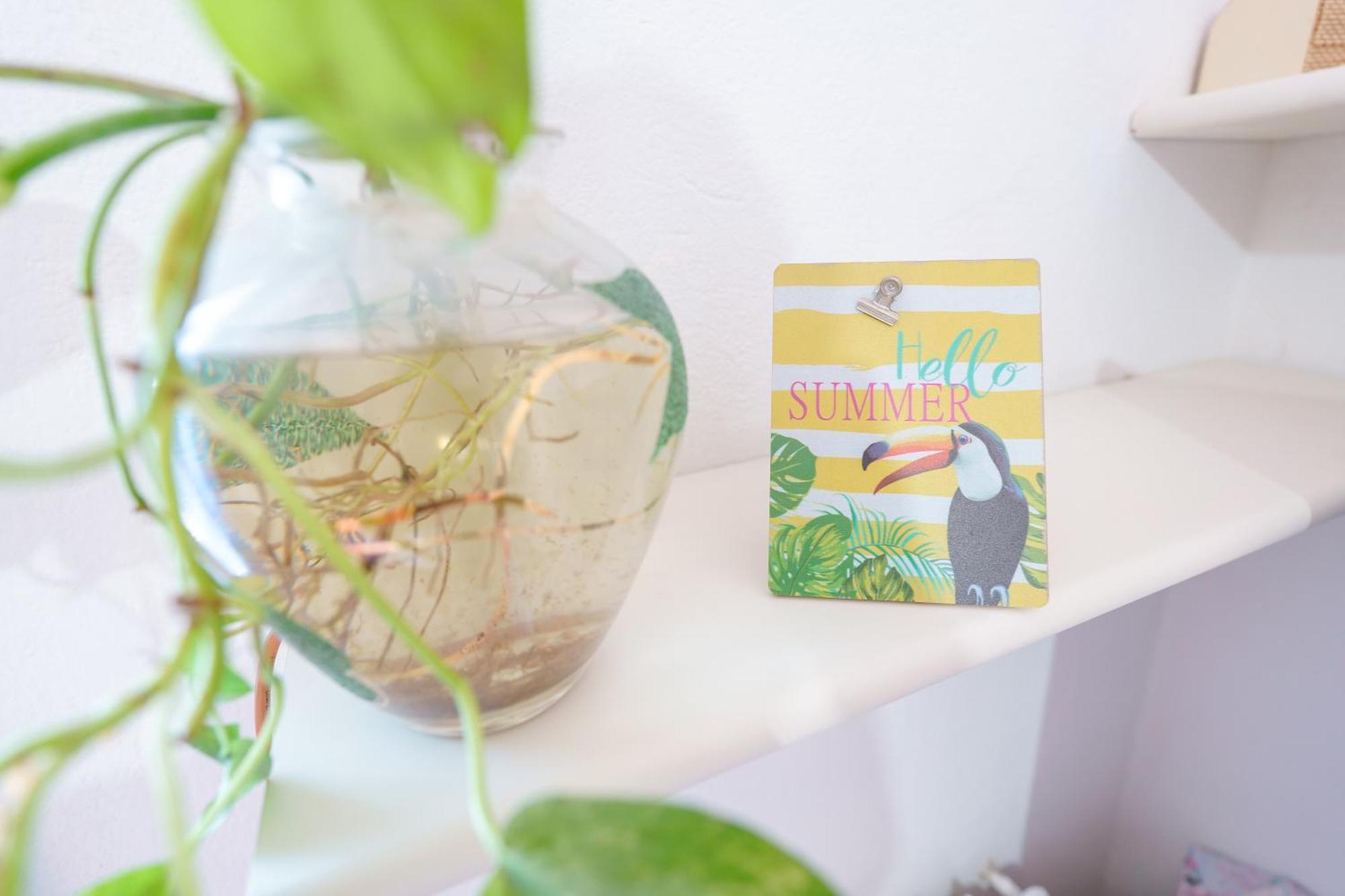 B&B Pothos - Eng Ita - Air Conditioning Wi-Fi Fridge Netflix Local Guide - Aria Condizionata, Frigo, Internet, Guida Locale Cagliari Eksteriør bilde